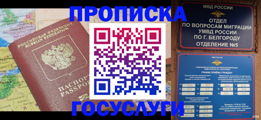 прописка регистрация в Стародубе